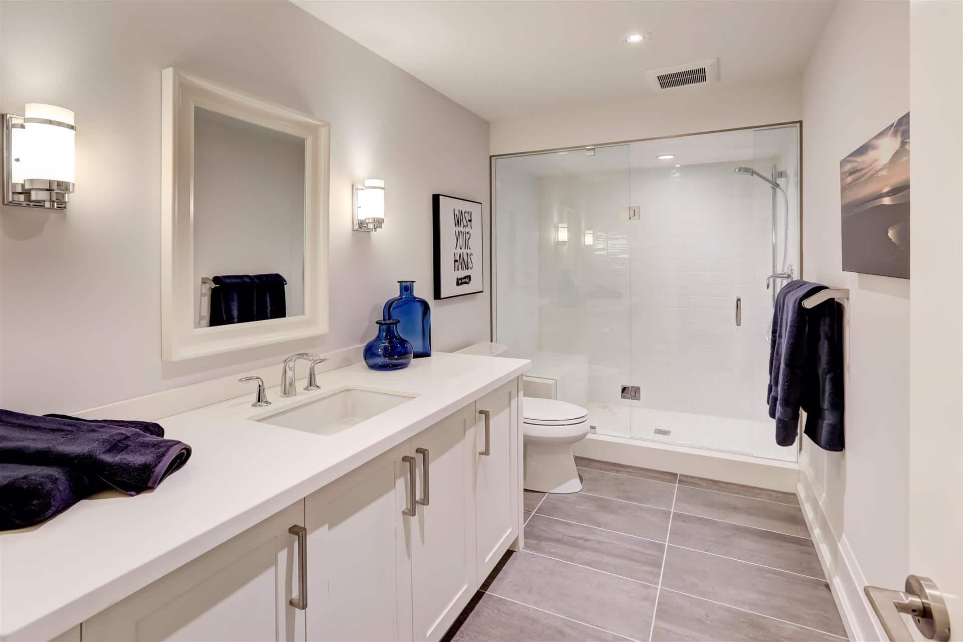 Lower Level Bathroom